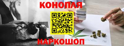 крисы Пенза