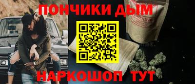 крисы Пенза